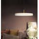 Ivan Single Light Metal Dimmable LED Pendant