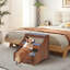 Escalier pour animaux Alliya-1734421951-1734421921