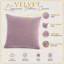 Aldino Square Cushion-1522553848