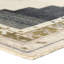 Tapis crème et gris Stellar CSN01-52124713