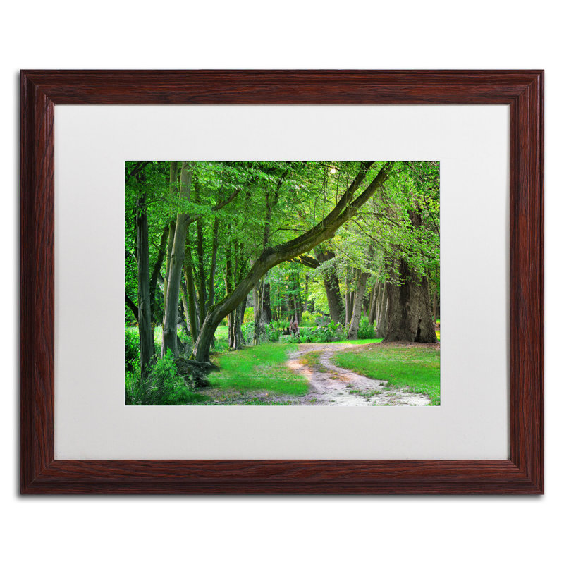 " Intimate Landscape " by Philippe Sainte-Laudy, 16" H x 20" W, White, Black Framed