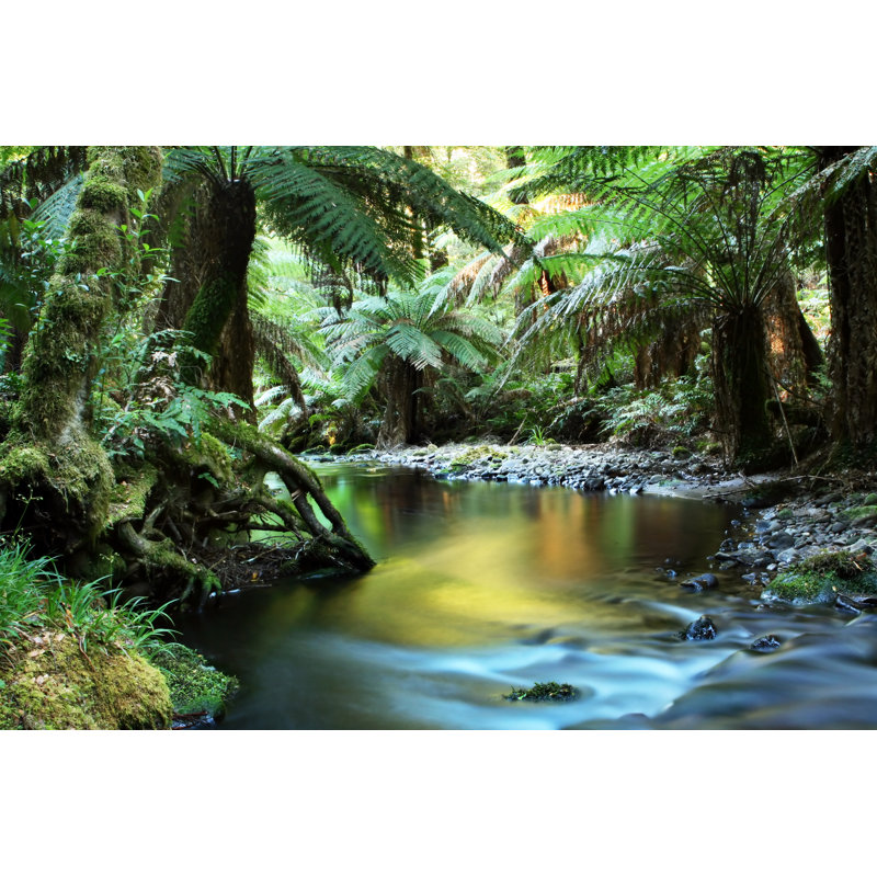 «Tropical Rainforest» par Robynmac - impression sur toile tendue, L 18 po x H 12 po