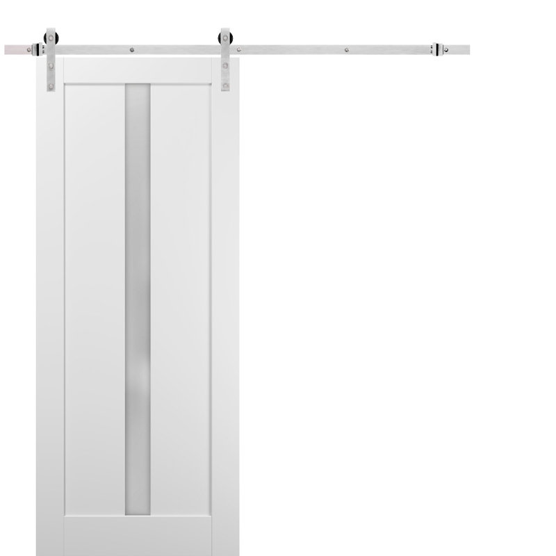 Porte de grange en verre givré Quadro avec trousse de quincaillerie d'installation, 24 po x 96 po, Argent