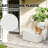 Spacious White Planters Set, Durable Polyethylene For Modern Decor