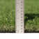Verdant Vista Emerald Green 15 ft Wide Cut to Length Artificial Grass Roll