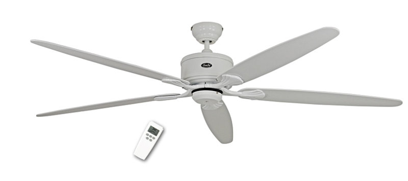 Allman 180cm Ceiling Fan, Lacquered White with Lacquered White and Lacquered