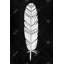 Impression sur toile Native American Feather-2072816722