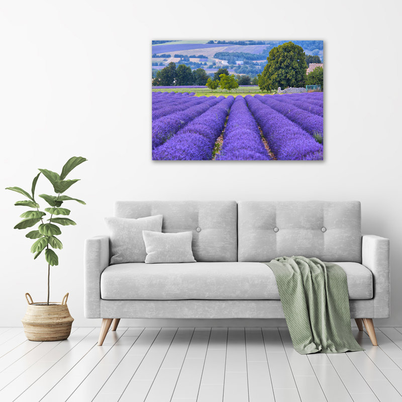 Lavender Field - Wrapped Canvas Print