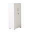 Fonte Storage Cabinet with Lock, 2 Door 2 Shelf Storage Cupboard File Cabinet-126002819