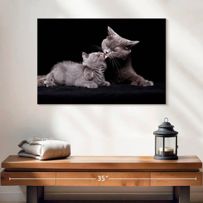 Cat Mother's Love