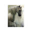 Noble Steed Print by Emma Brooks-26927643-26927649