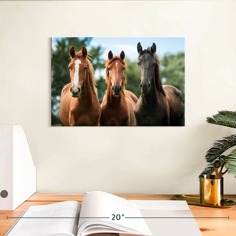 Crowle Young Horses, H 8 po x l 12 po