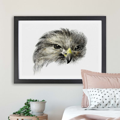 Bird of Prey - Framed Print