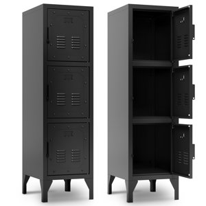 Lyonnie Steel Accent Cabinet