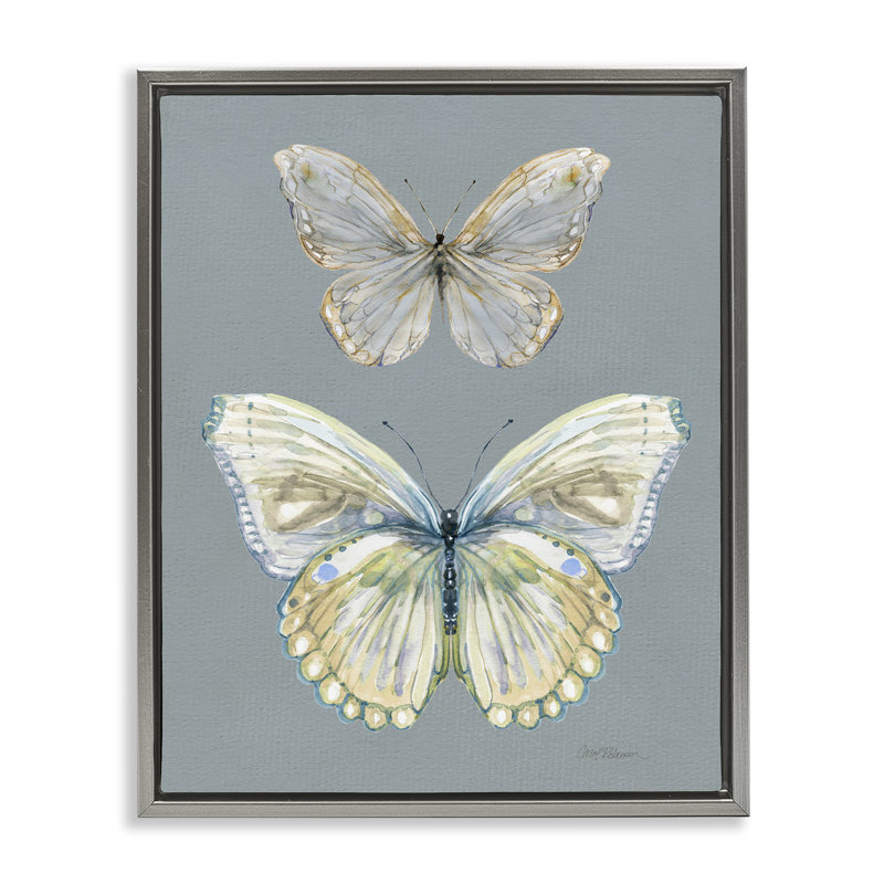 Cadre flottant Papillon, étude par Carol Robinson, H 31 po x l 25 po, Cadre flottant gris lustré