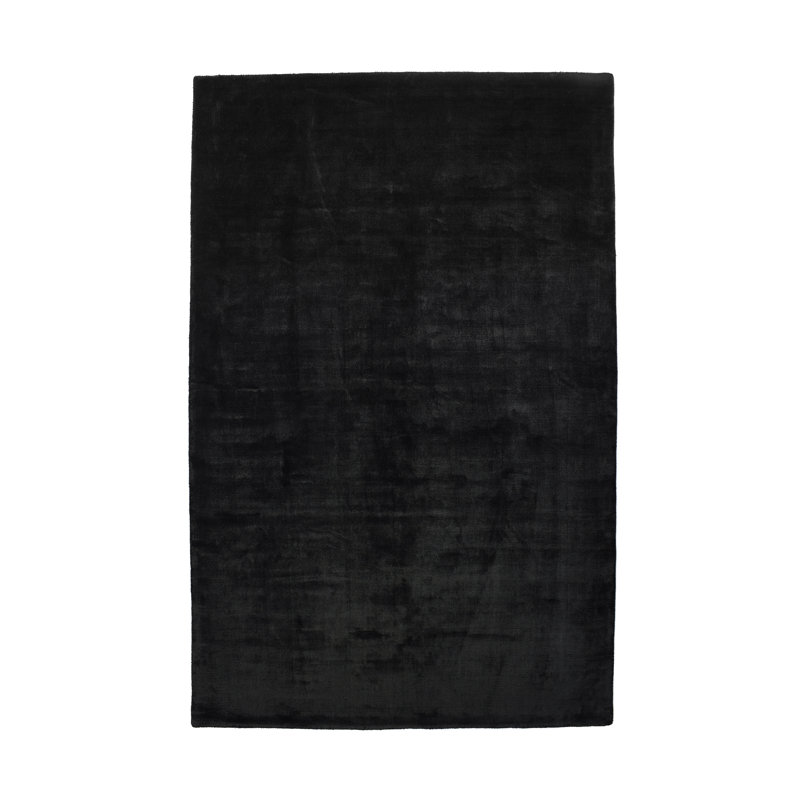 Lambermont Viscose Hand Woven Area Rug, Rectangle 120 x 170