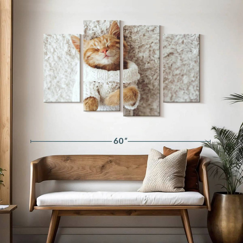 Chat Brampt dans un chandail, H 32 po x l 52 po