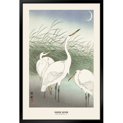 " Ohara Koson - Herons In Shallow Water "