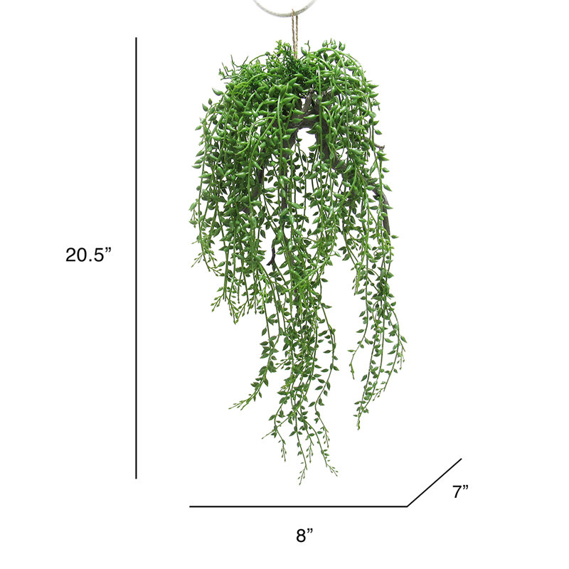 Plante grasse artificielle suspendue 20,5 po Donkeytail
