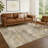 Machine Washable Indoor/Outdoor Jadiel ACN2369 Abstract Rug-1564327400