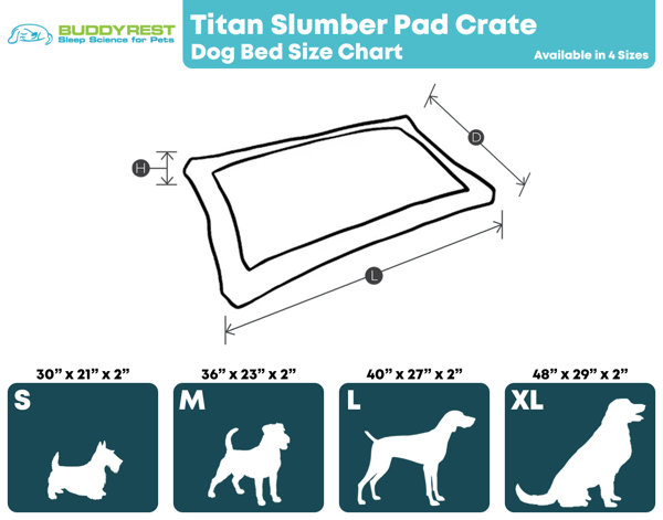 Chew Proof Dog Beds: BuddyRest World's Toughest Dog Beds