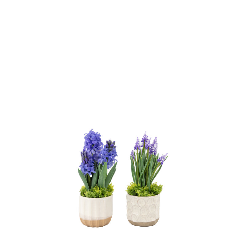 Spring Hydrangea Purple in Ceramic Pots