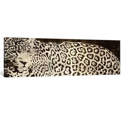 " Leopard Encounter " by Darren Davison