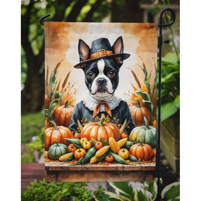 Drapeau du jardin de l'Action de grâce, Boston Terrier