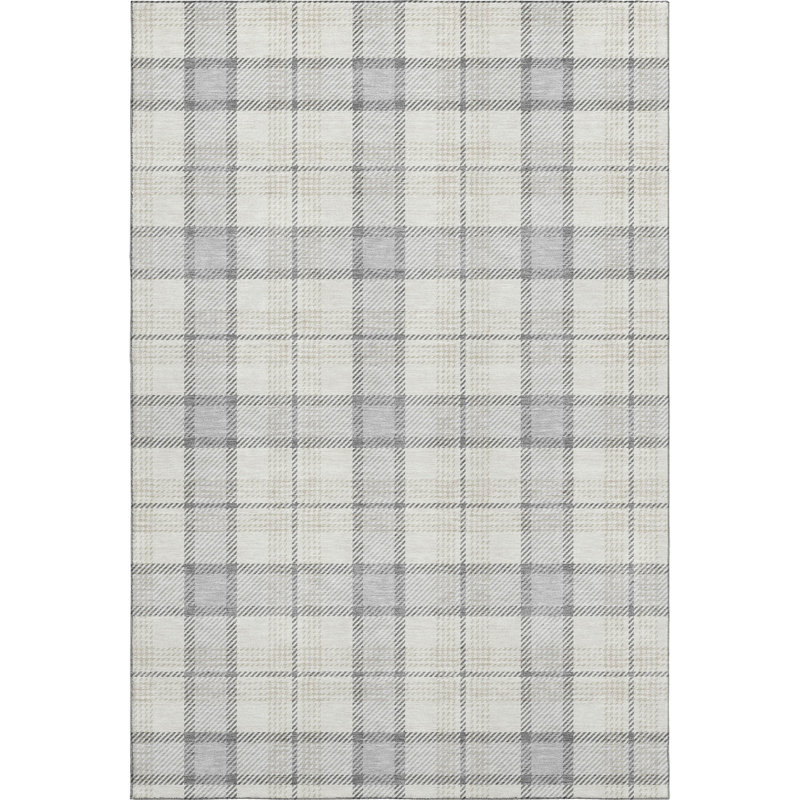 Premium Machine Washable Corum AMF1052 Plaid Rug, Rectangulaire 3 pi x 5 pi