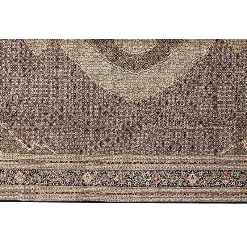 Shah Wool Oriental Area Rug