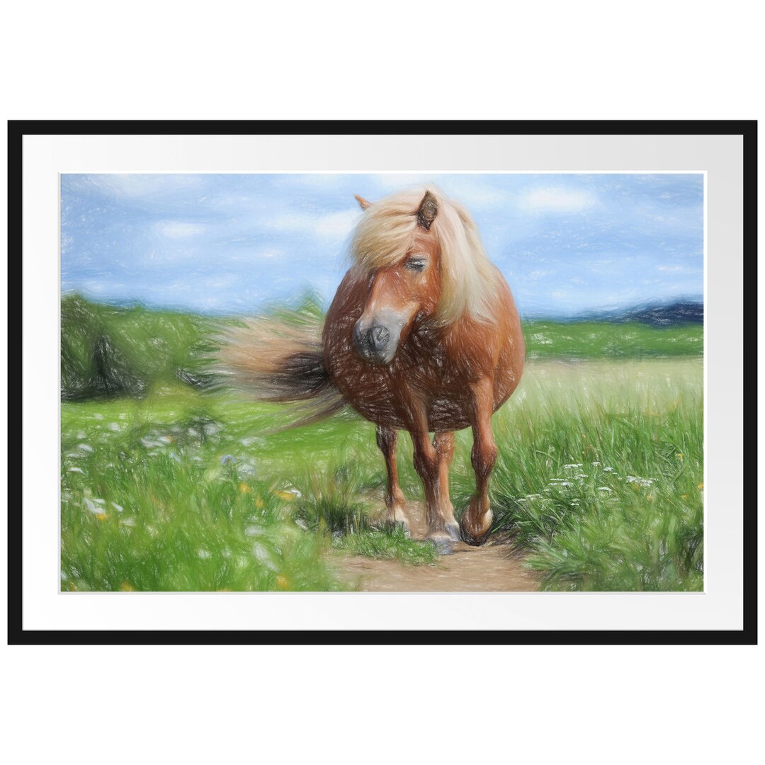 Gerahmtes Poster Shetlandpony auf der Wiese