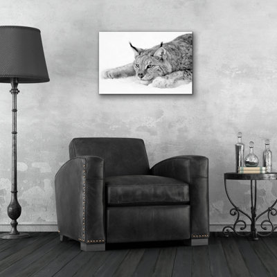 " Lynx 1 " by PhotoINC Studio