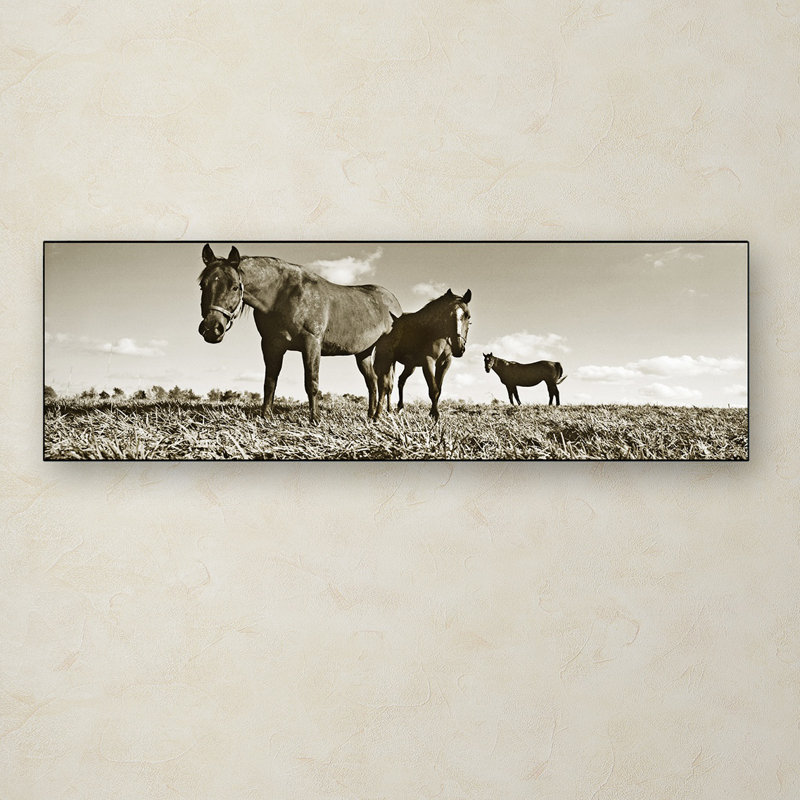 « kentucky équidés », reproduction de photo sur toile tendue, H 6 po x l 19 po x P 2 po