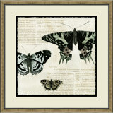 Butterfly Collage I Print