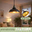 Tennyson - Light Single Pendant-438035853
