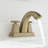 Centerset 2-handle Bathroom Faucet With Drain Assembly-57835917