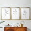 Croquis floral - reproduction encadrée sur mesure de qualité supérieure mate - 3 pièces-879553946-879553942