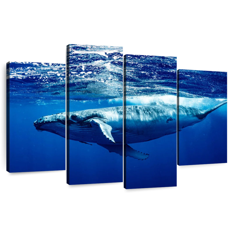 Brampt Humpback Whale Below Surface, 32" H x 52" W
