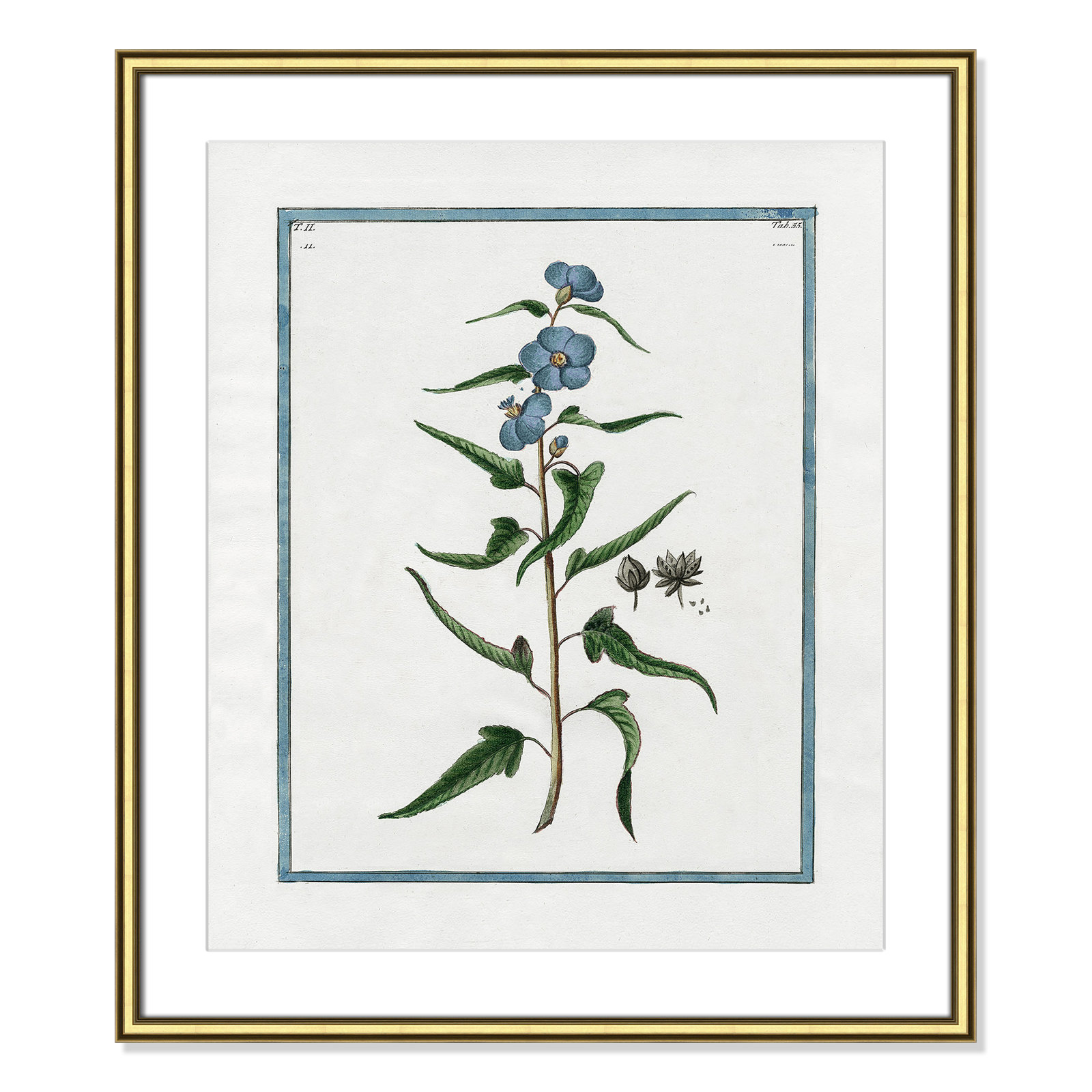 Colombe "Shabby Elegance Botanical I" Print, 22.75" W x 26.75" H, Gold Framed