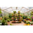 Alessandro Plant Stand