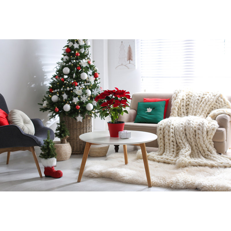Coastal Christmas Reversible Throw Pillow, 20" x 20", Green