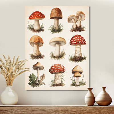 Mushroom of the Old Herbarium - reproduction d'art sur toile encadrée botanique rétro