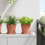 Pot Planter