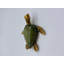 Ned Turtles-1073207295