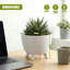 Pot Planter-1997531616-1997531618