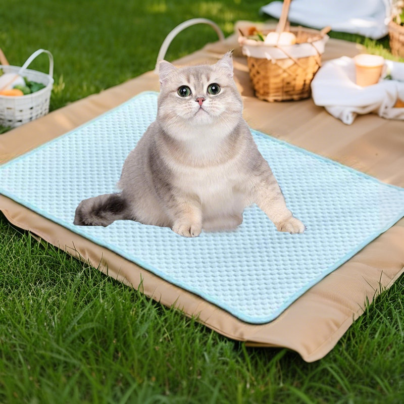 Tapis de refroidissement en soie glacée pour chien Summer Cool, Moyen (H 0,3 po x l 31,5 po x P 23,6 po), Bleu