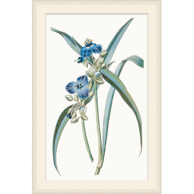 Sapphire Flora 2 Print by Studio L57 Nouvelle