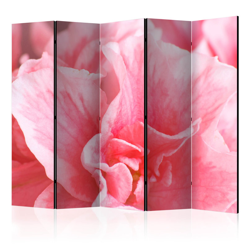 Meribelle 225cm W x 172cm H 5 - Panel Solid Wood Folding Room Divider