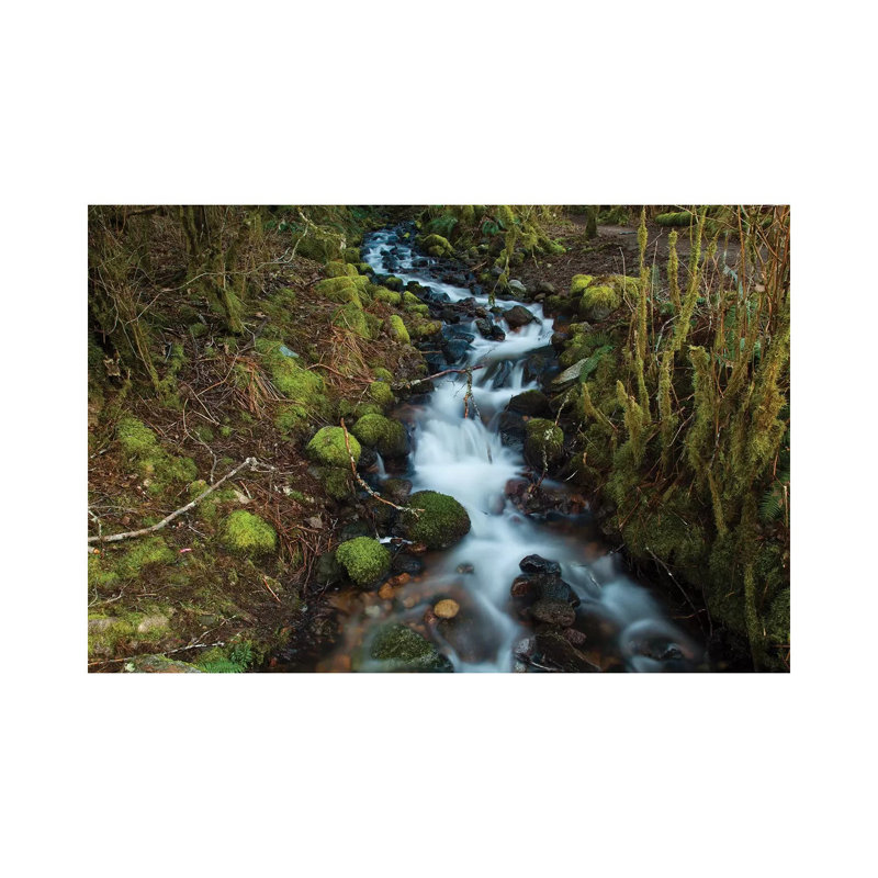 Stream In The Rainforest Near Alice Lake Provincial Park. Squamish, British Columbia, Canada. by Kristin Piljay - Wrapped Canvas Print