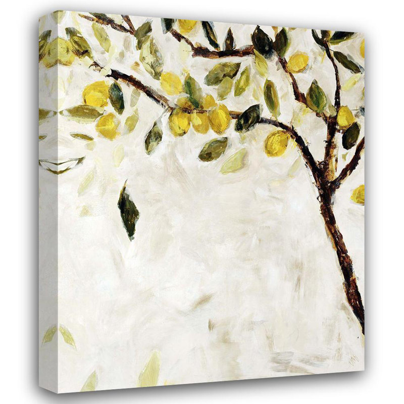 «Red Barrel Studio® Maas, Jodi Gallery, art sur toile tendue: Meyer Lemon Tree»